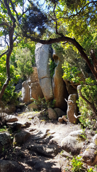 Tour sur la péninsule de Capu di Muru à Coti-Chiavari