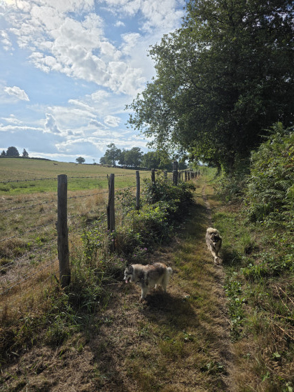 Sentier