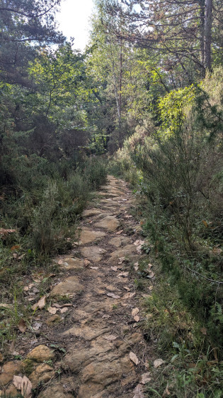 sentier