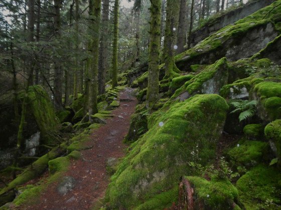 Sentier