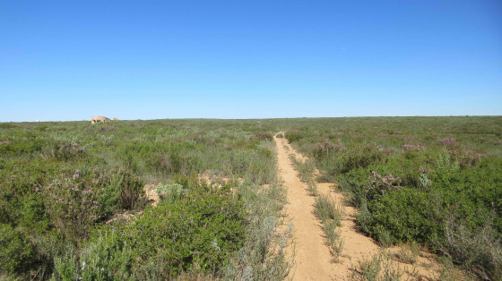Sentier