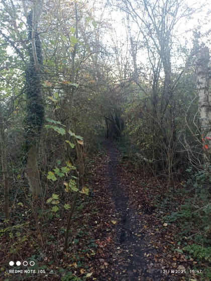 sentier