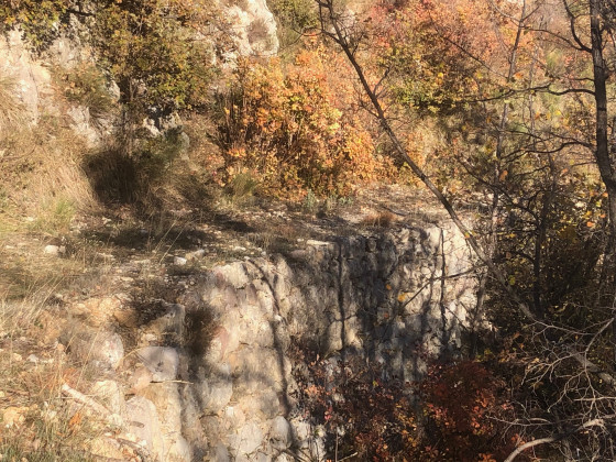 Sentier