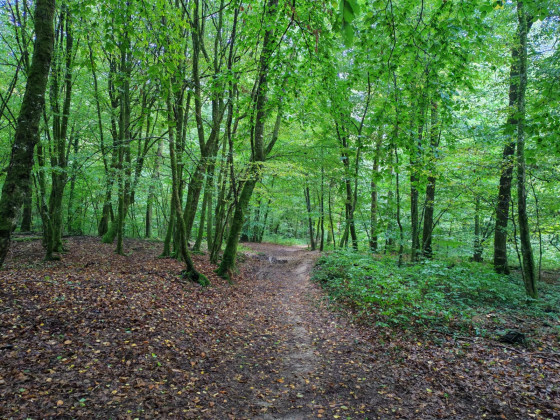 Sentier