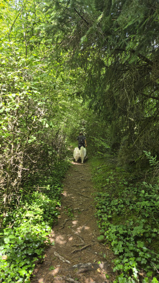 Sentier