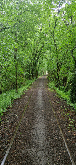Sentier