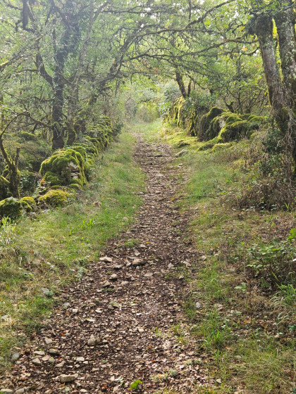 sentier