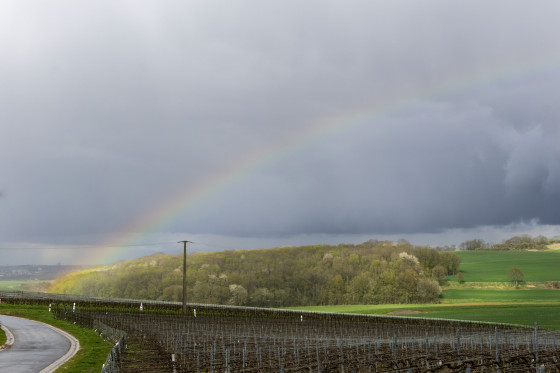 Sermiers sous un arc en ciel