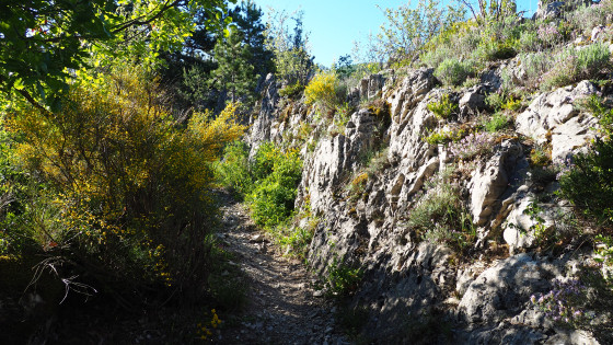 Serre de Rioms