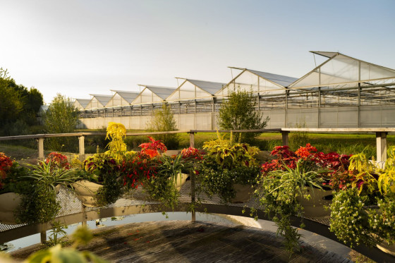 Serres horticoles de Grand Paris Sud Est Avenir