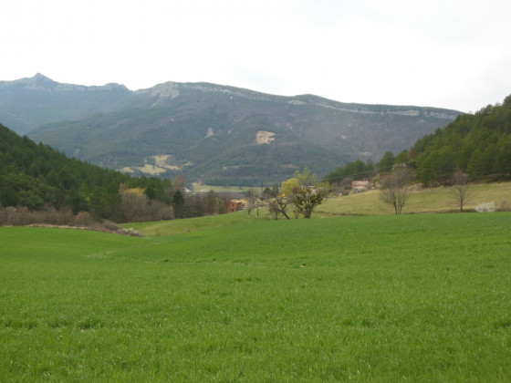 Vallée du Buëch