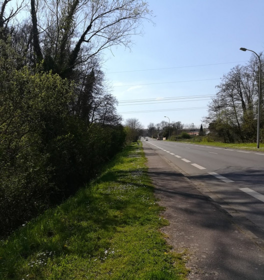 Seule route à suivre