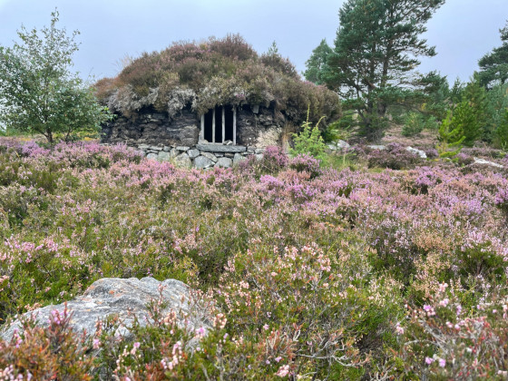 Cabane Shieling