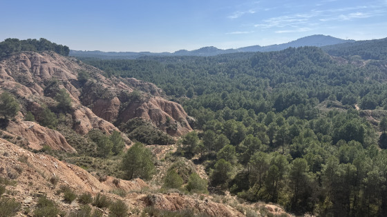 Sierra de Los Algudos