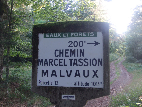 Signalisation