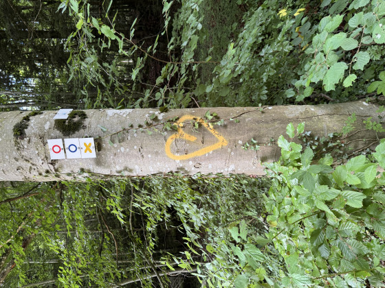 Signalisation 💛