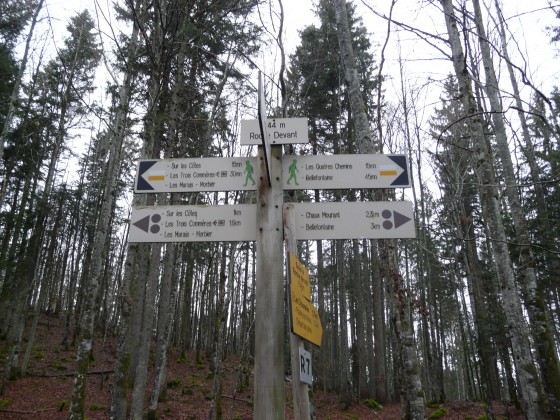 Signalisation