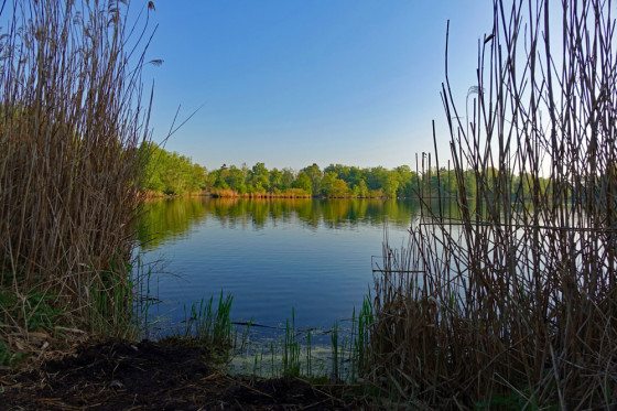 Volkspark Dutzendteich in Nürnberg Wanderung