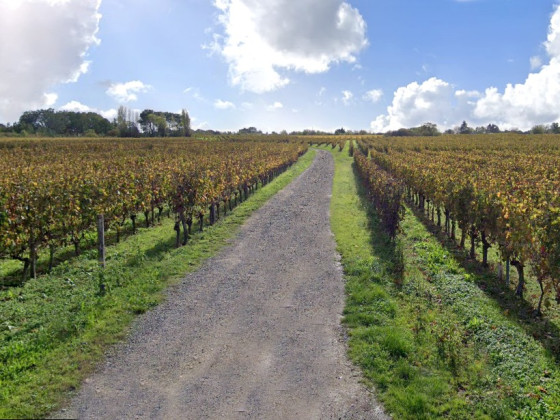 Silence sur le chemin du sourd