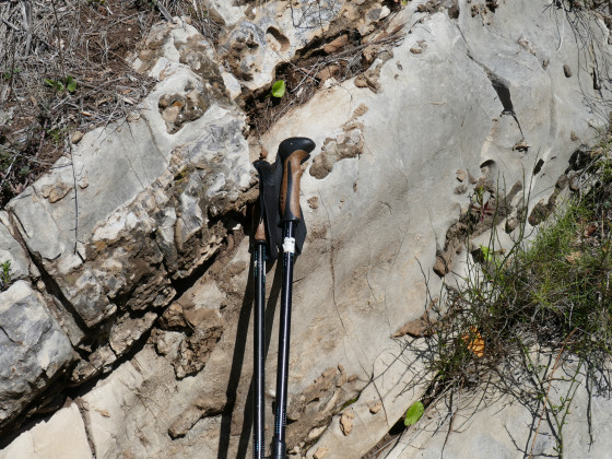 Rognons de silex
