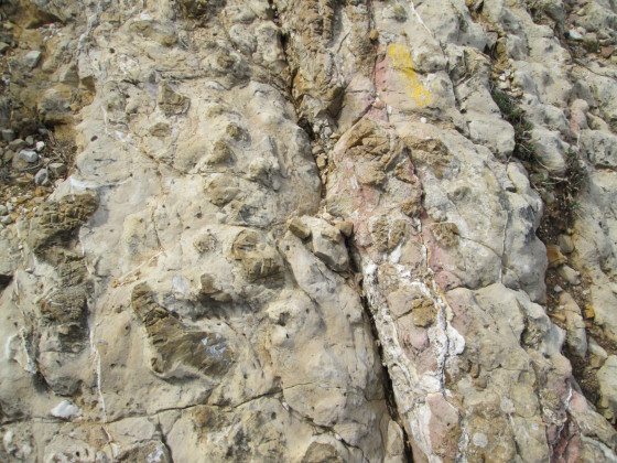Silex