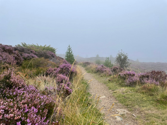 Sentier unique vers le sommet de Can na Laitire.