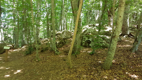 Site Arch&eacute;ologique