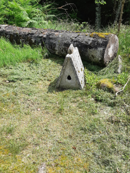 Site archéologique.
