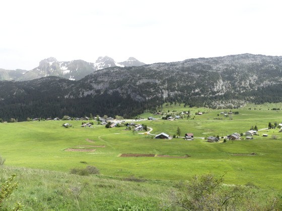 Solaison