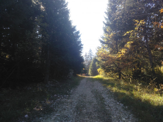 Soleil bien mérité