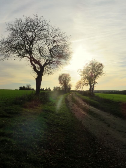 soleil d\'hiver (2)