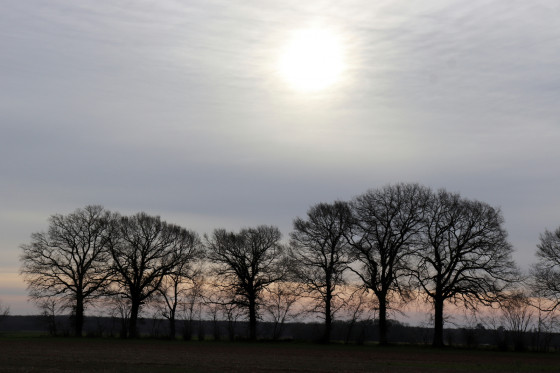 Soleil d\'hiver sur la campagne diorsaise