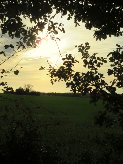 soleil d\'hiver