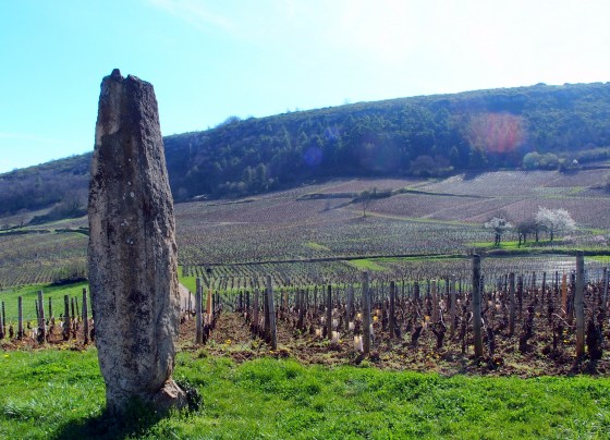 Solutré-Pouilly