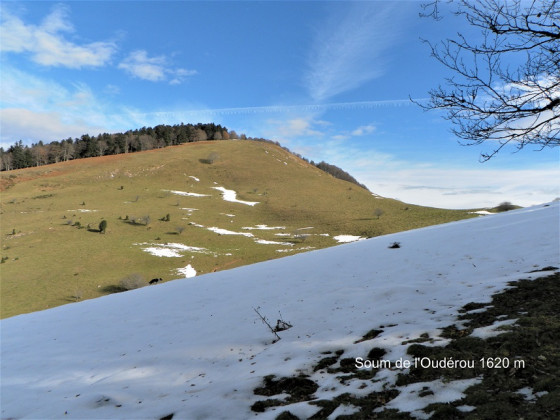 Sommet de l\'Oudérou au sortir de la forêt