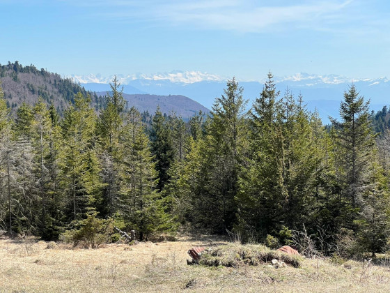 Sommet de la Charbonnière