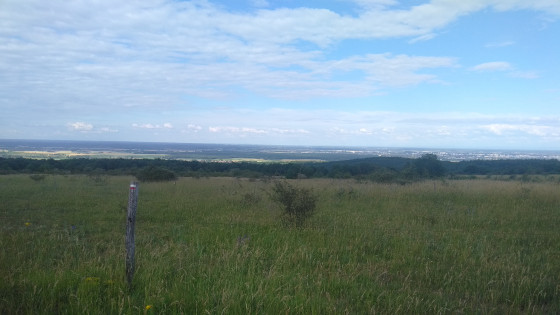 Sommet de la Chaume