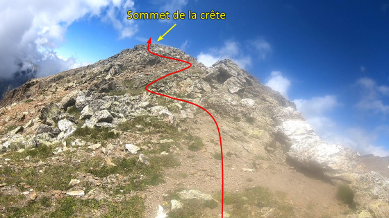 Sommet de la crête de la Berche Noire