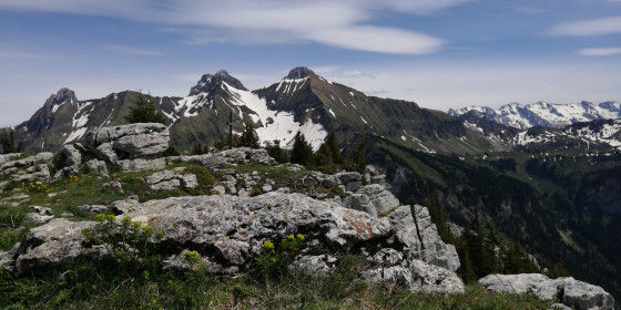 Sommet des rochers de Leschaux