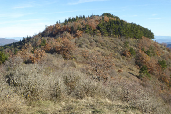 Sommet du Charray
