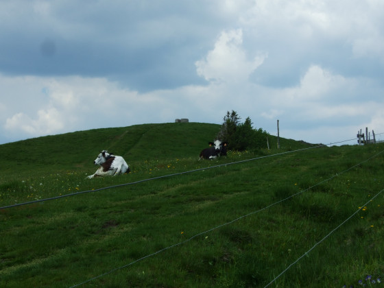 Sommet du Drumont