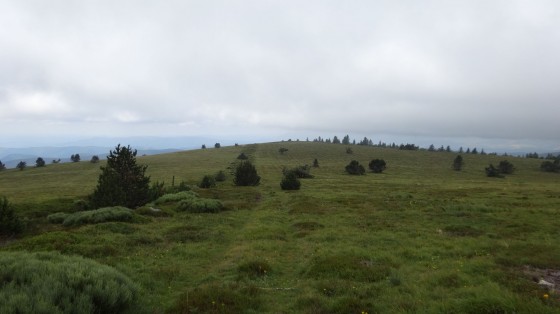 Sommet du Grand Tanargue