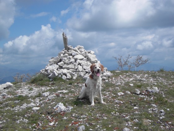 sommet du pic de la Fourneuby
