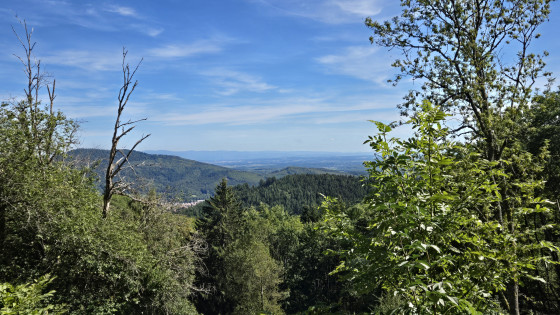 Sommet du Triebelskopf
