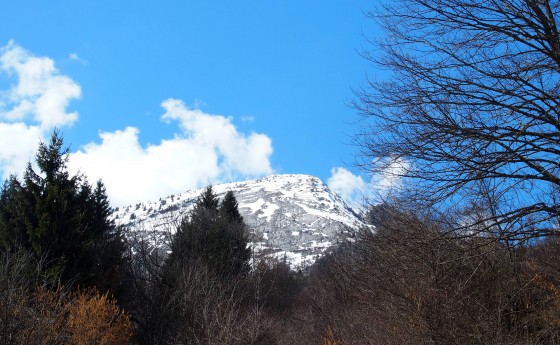Sommets de Chartreuse