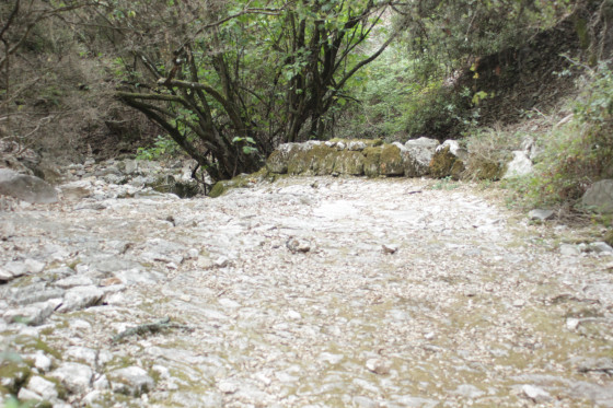Sortie canalis&eacute;e du Tiourr&eacute; avant captation