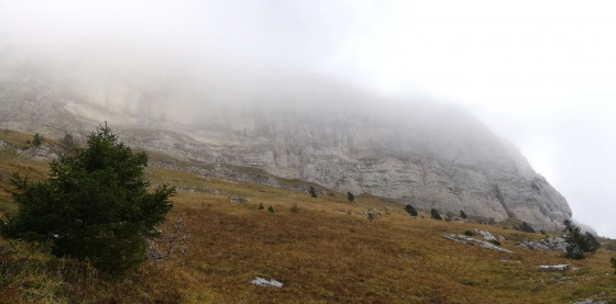 Sortie de la for&ecirc;t, d&eacute;but du pierrier et vue sur la falaise