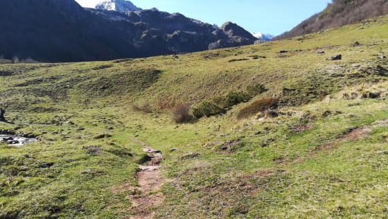 Sortie de la forêt