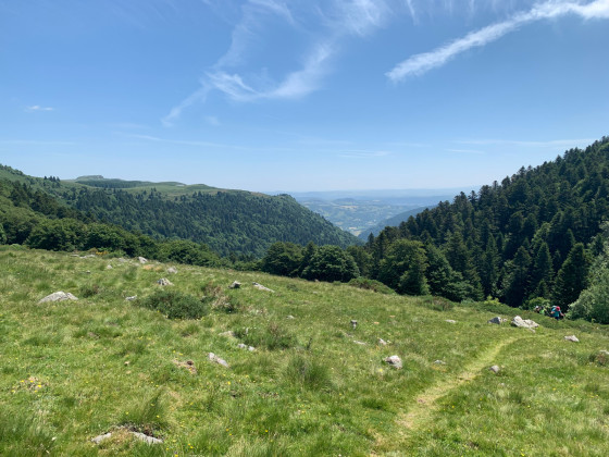 Sortie de la foret