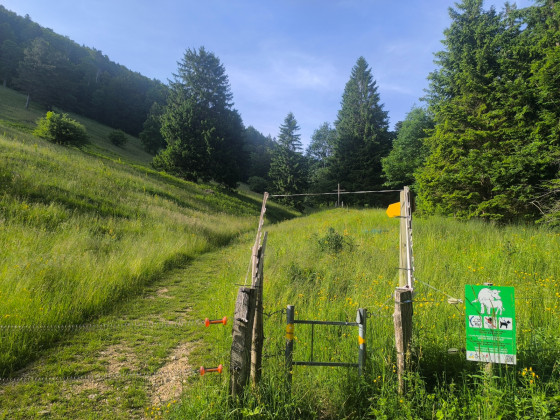 Sortie des gorges
